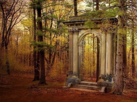 Enter - Doorway to Nowhere, Portal, Autumn Photo, Fall Photography, Forest, Woodland, Trees, Mysterious fine art landscape photograph