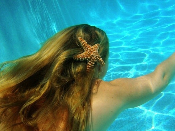 The Original 5in Sugar starfish barrette
