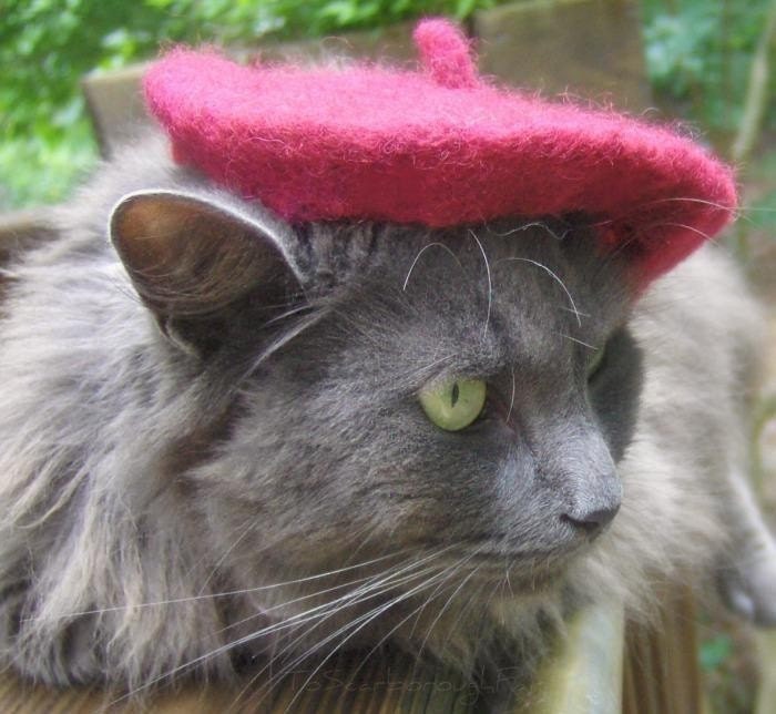 Cat Beret - French Chic Pet Hat