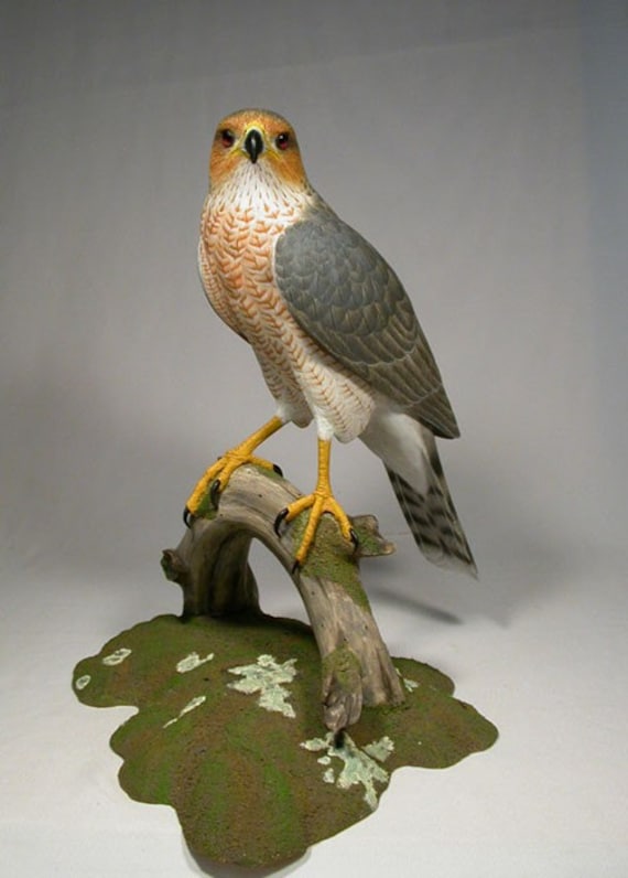 15 inches Cooper's Hawk Hand Carved wooden Sculpture