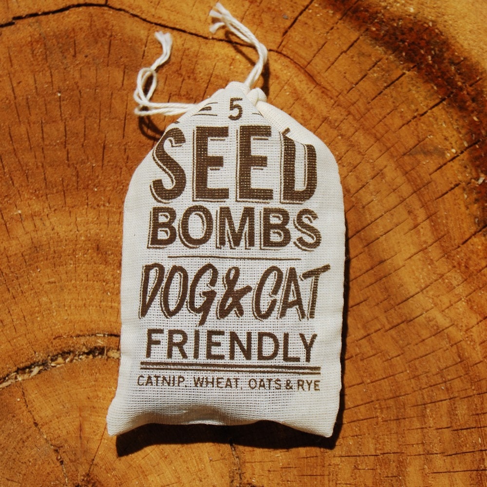 seed bombs seed bombs