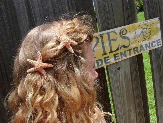 Two small sugar starfish barrettes