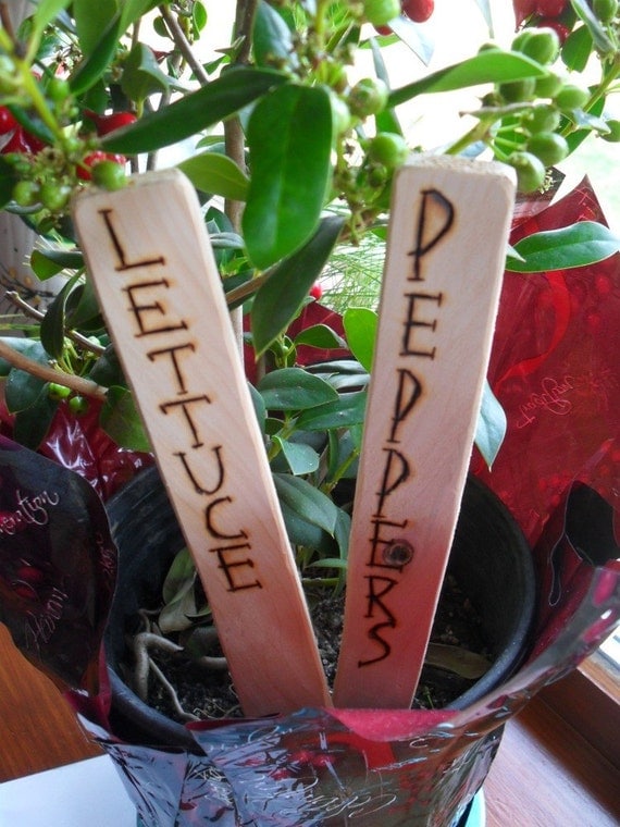 Garden Plant Markers 2 Each Wood Burned Letters