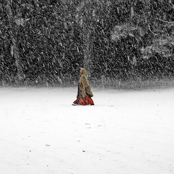 Red riding hood in Blizzard Snow forest  - Winter woman photography -  Fine Art Photography Print 6x6 (15x15cm)