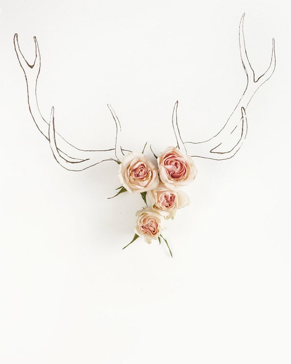 Antler drawing and flower photograph 4226