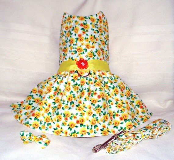 Easter Yellow Sunshine Floral Dog Dress Leash Set