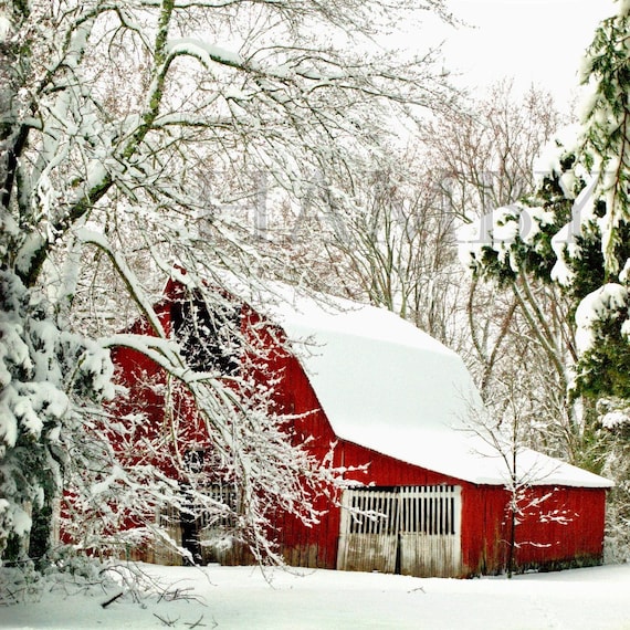 Showoff--Snowy Red Barn--10x10--Fine Art Photography