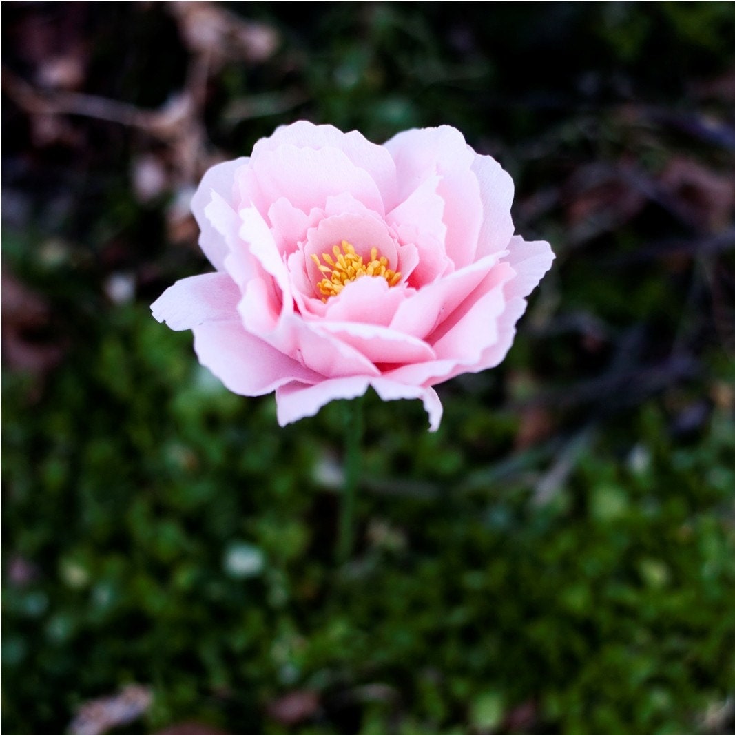 tree peony branch - handmade paper flowers for weddings, gift, or home decor