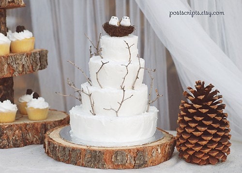 16 Rustic Wood Tree Slice Wedding Cake Base or Cupcake Stand for your Event