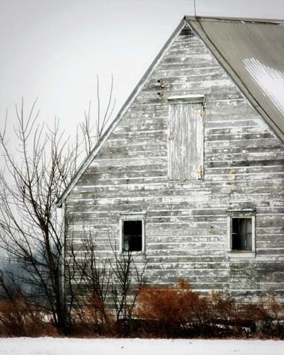 Rustic Barn Photo - white, winter, shabby, run down, heritage, americana