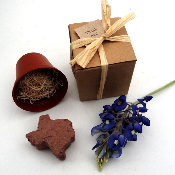 Texas Wedding Favors, Party Favors Texas Bluebonnet Seeds