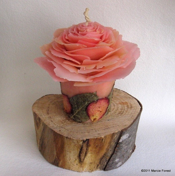   Rose Garden  -   ,   -         , Home Decor, 