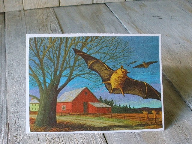 Cards vintage book pages flying bat