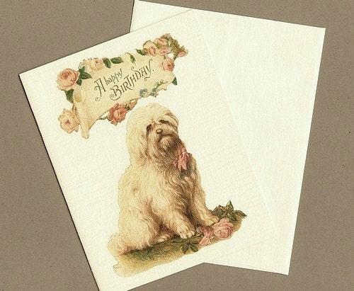 Victorian Dog Birthday Card - Stop and smell the flowers - Just don't eat them too