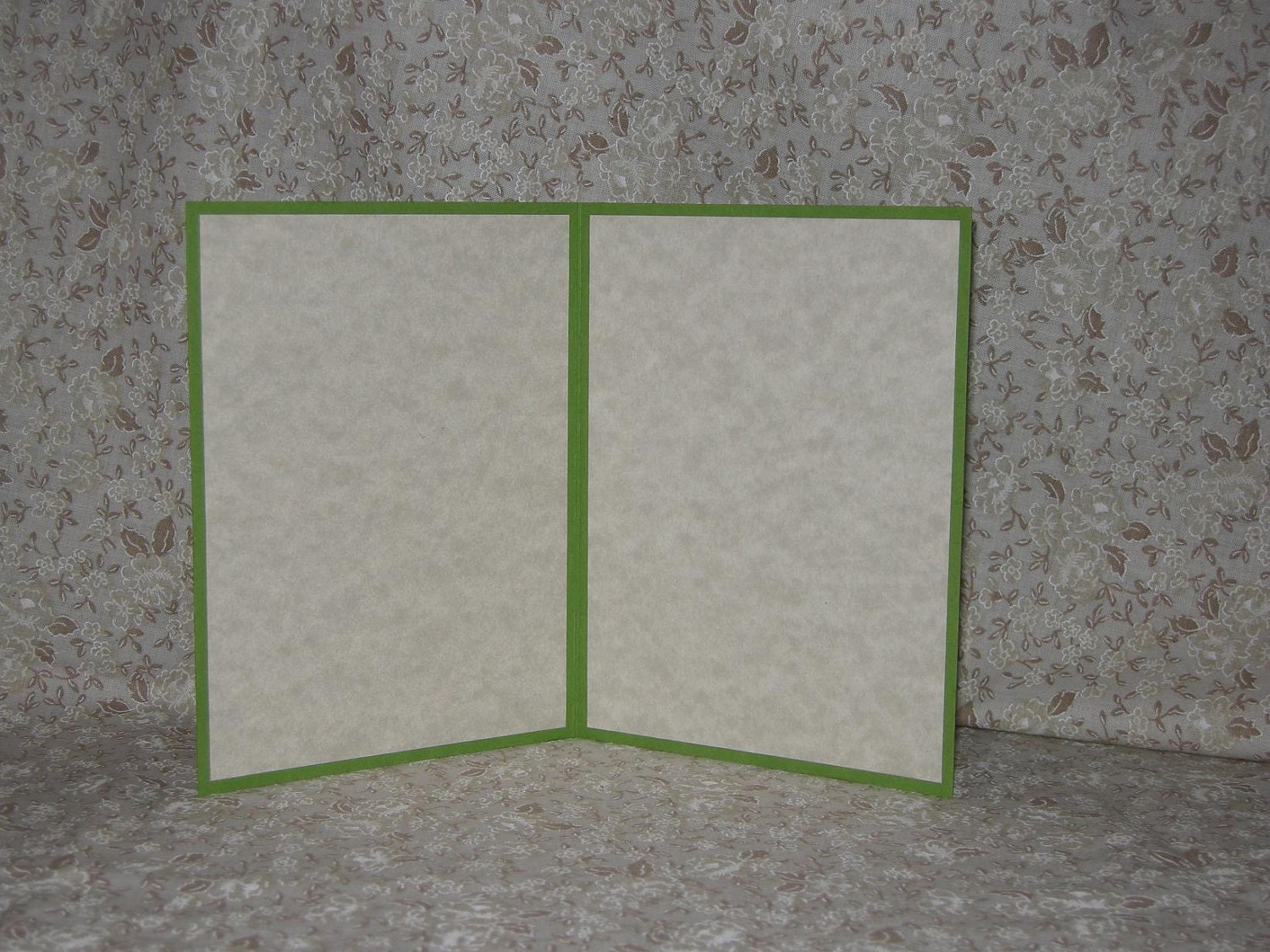 Limited Edition Dragonfly Blank Card A2 - post card, wings, flight, green, parchment, nature, insect