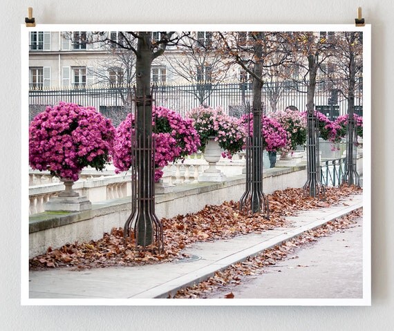 Luxembourg Autumn, Paris - 16x20 French Fine Art Photograph Art Print -- Paris Photography - Paris Decor - French Wall Art - Home Decor