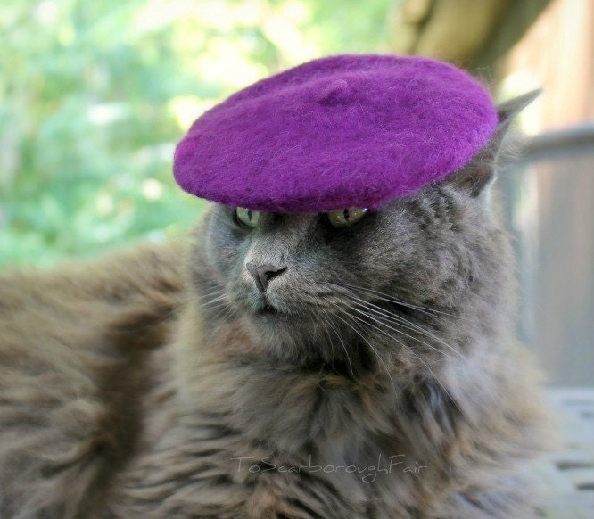 Cat Beret - Mini French Beret for Pets - Cool Kitty