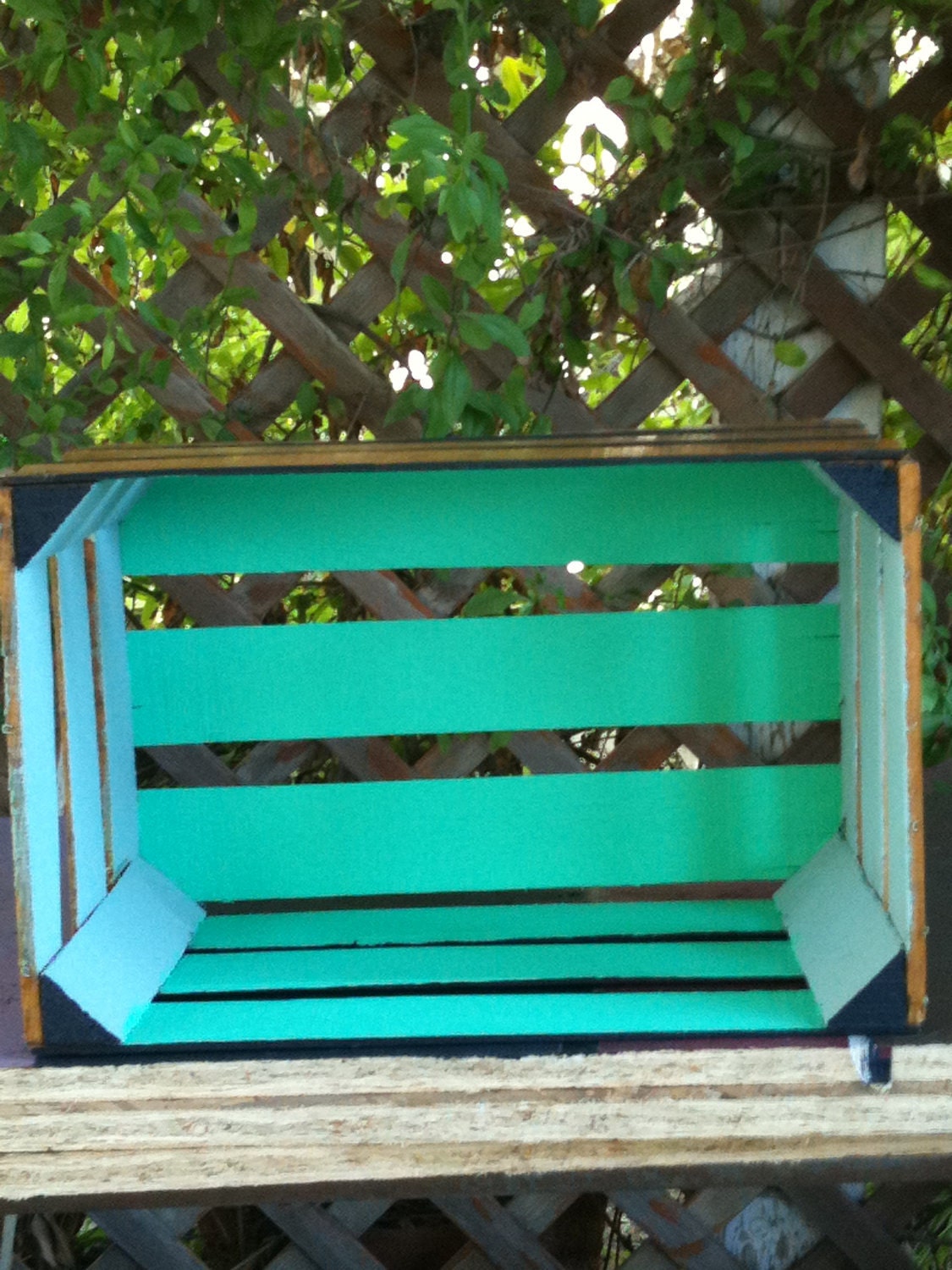 Pet bed