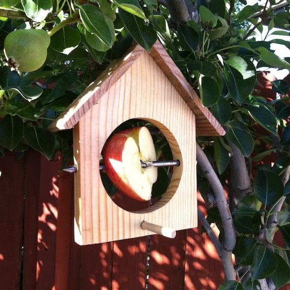 Hanging bird house style apple bird feeder