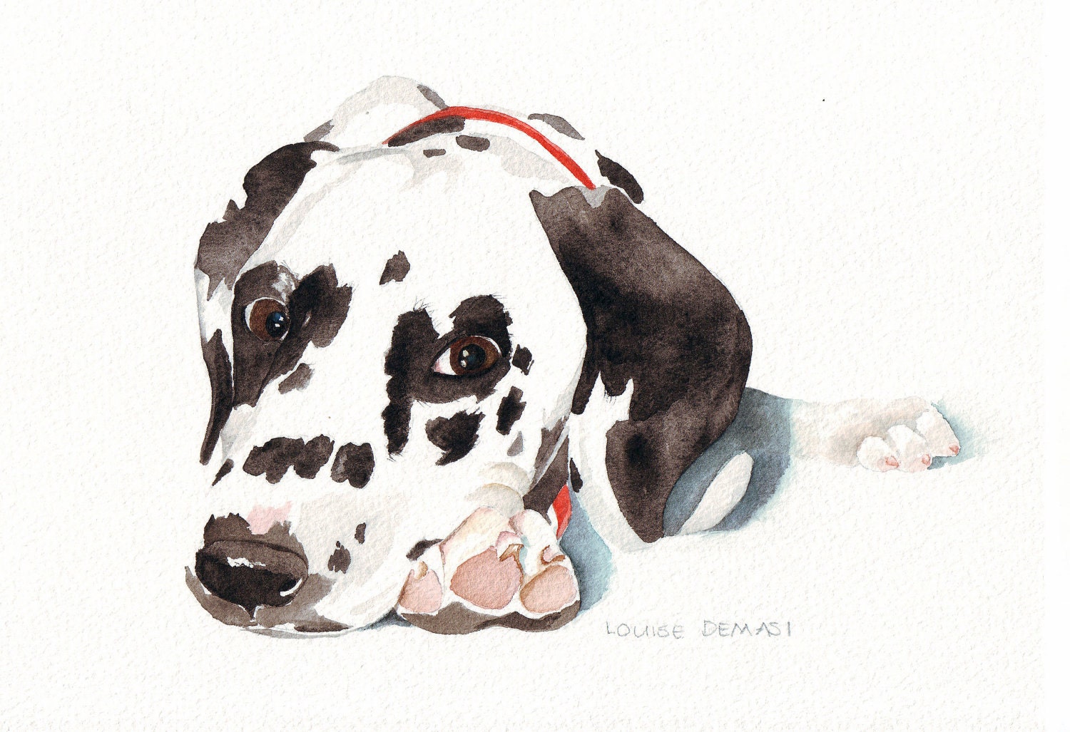 Dalmatian Dog Chelsea No. 0024 print of watercolor painting -(Splodgepodge)