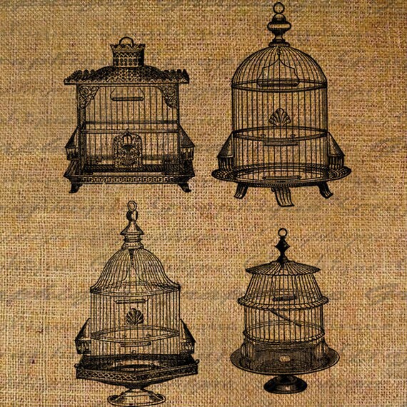 birdcage with love birds for wedding clipart