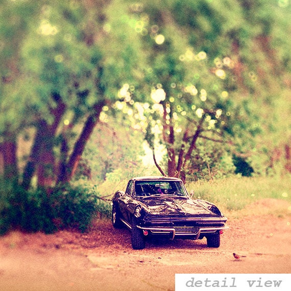 Corvette Summer 8x10 Classic Car Art Corvette Photograph Vintage Car