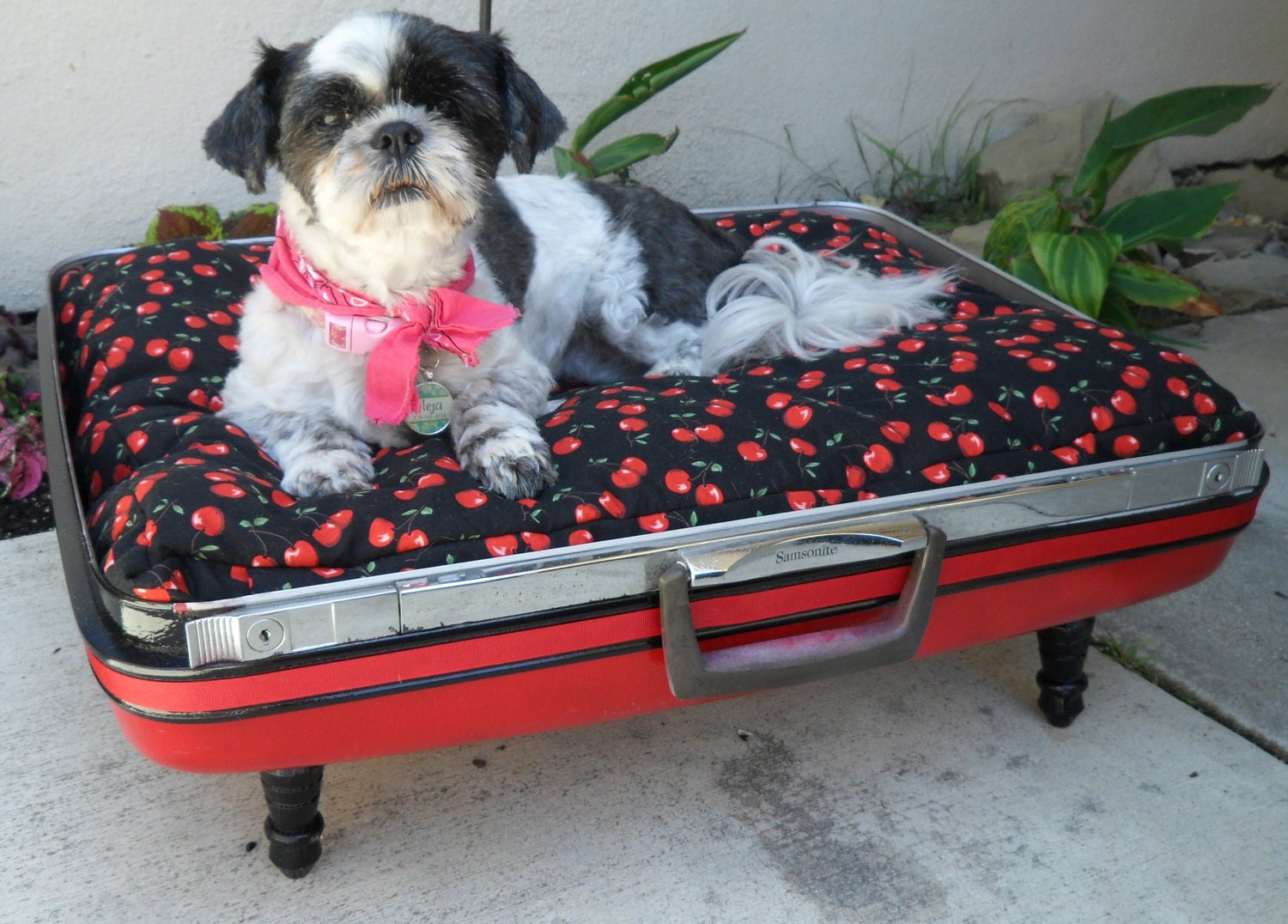 Black and Red Cherry Rockabilly Large Retro Suitcase Pet Bed