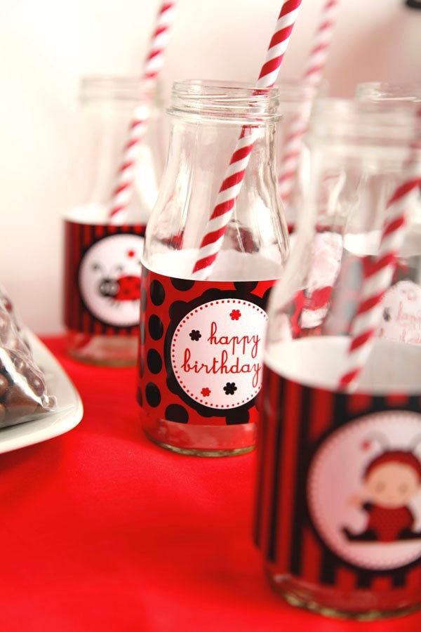 PRINTABLE Water Bottle Label DIY - Red Ladybug Party  - PS110g