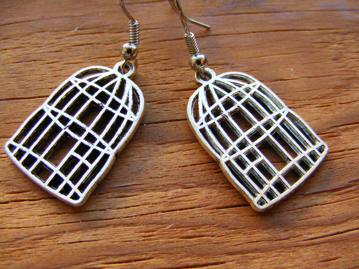 Earrings Silver or Bronze Bird Cages