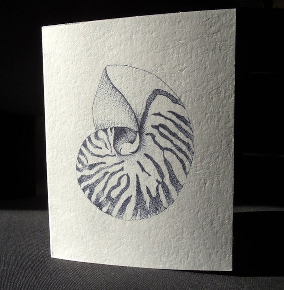 Nautilus Shell drawing art notecard with envelope