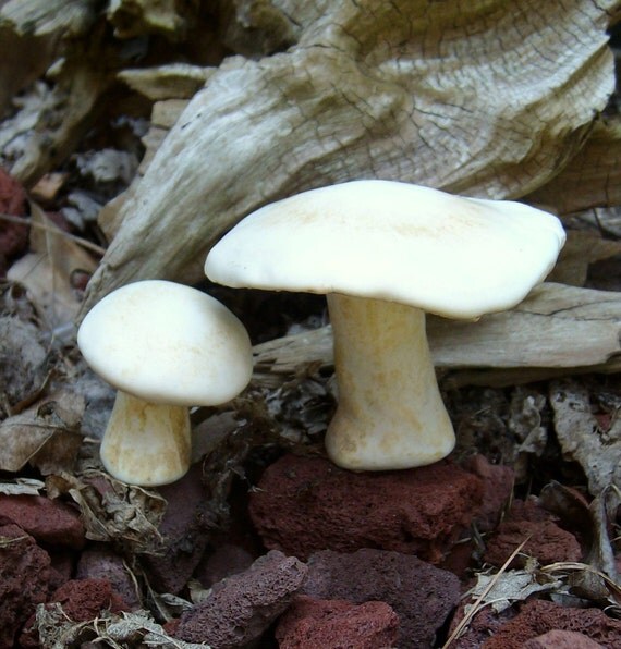 Cute set of 2 ceramic Button Mushrooms - handmade studio art pottery