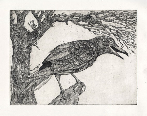 crow drawing, raven drawing, bird art, etching (digital print)