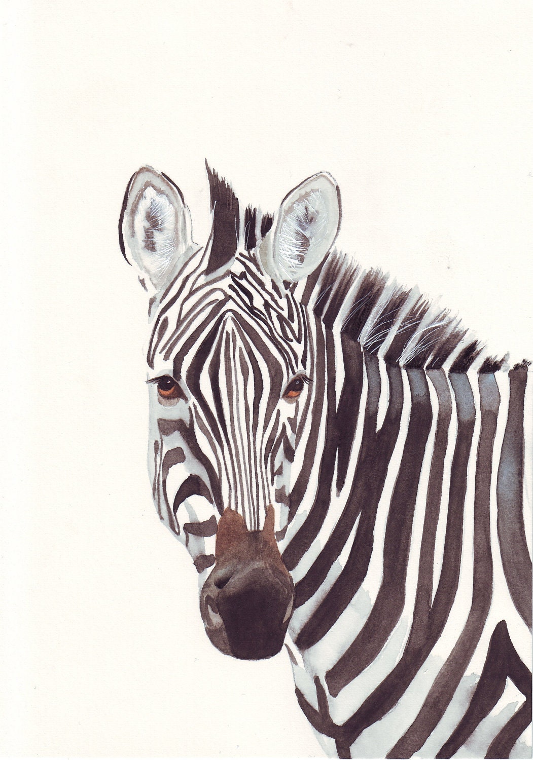 Zebra ART No. 065 Zoo animal art  Large Print of watercolor painting