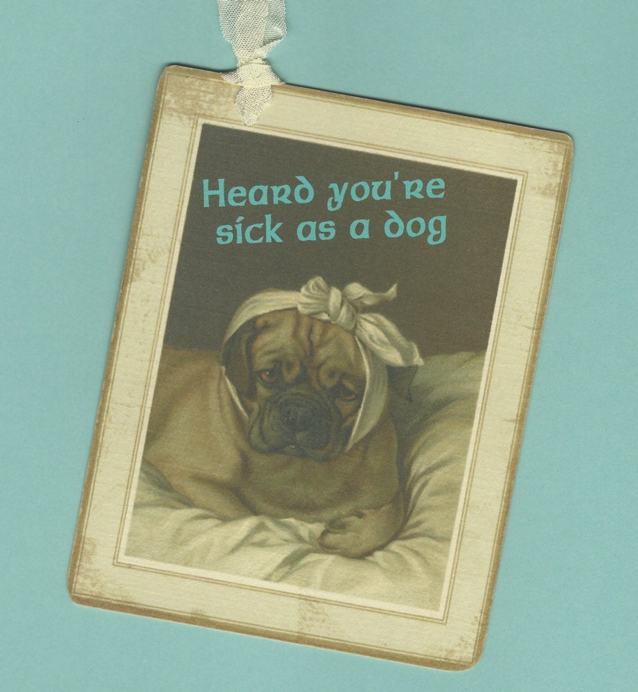 Get Well Soon, Sick As A Dog, Get Well Gift Tags - 30% Percent Off