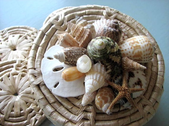 Пляж Декор Shell Coaster Set - Морской Подставки Seashell декора, плетеная набор из 4