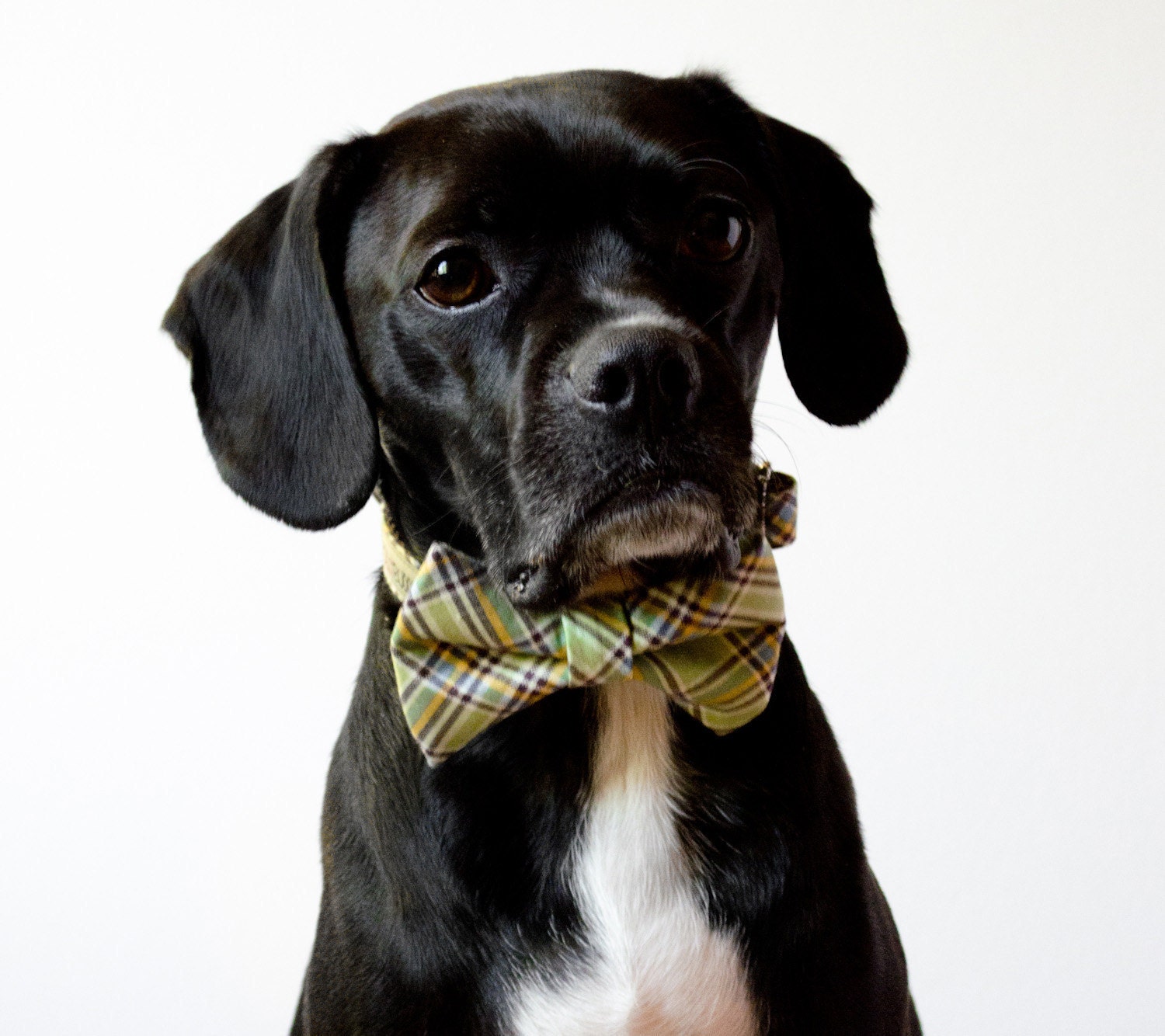 Pistachio Green Plaid Dog Bow Tie Collar