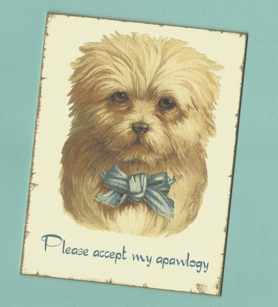 Apology Card, I'm Sorry Card