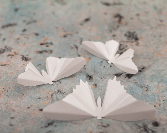 3D Wall Butterflies, 10 Brushed Aluminum Metallic Butterfly Silhouettes for Girls Room, Nursery, and Home Art Decor