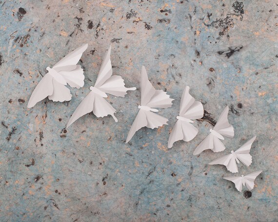 3D Wall Butterflies, 10 Brushed Aluminum Metallic Butterfly Silhouettes for Girls Room, Nursery, and Home Art Decor