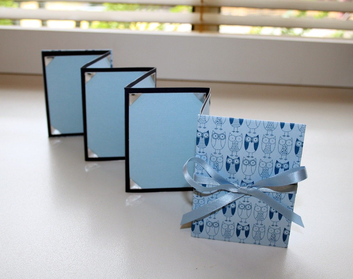 BRAG Book - Photo album - Accordion - Mini wallet size - Blue Owls