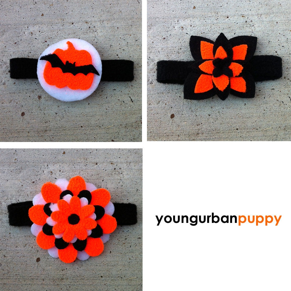 Halloween Neon Orange and Black Flower or Collar Tie for Dogs