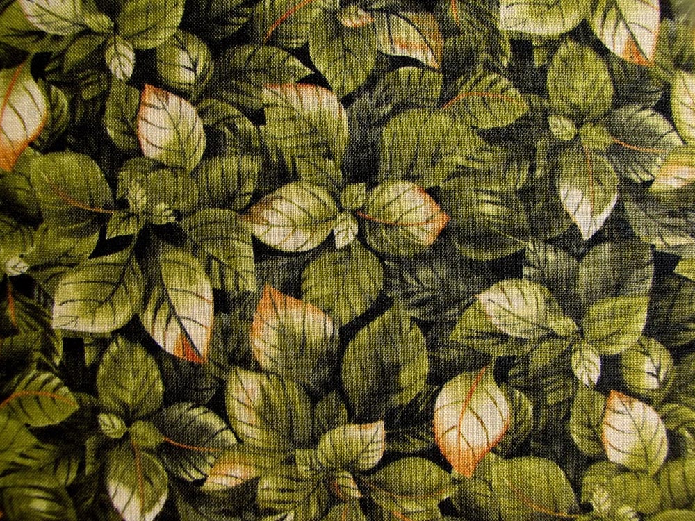 Paintbrush Studio Petal Me Pink Packed Leaves