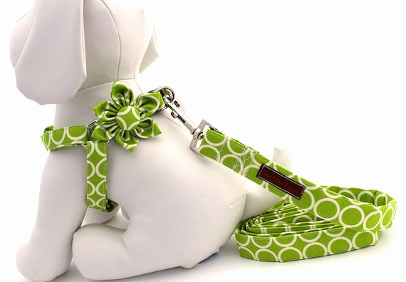 Step-In Dog Harness, Leash and Flower Set....Size Small.........Your Choice of Any Style in the Shop