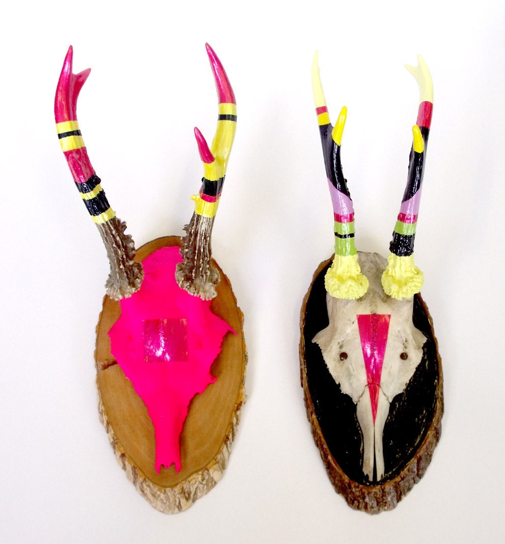 TWO'S COMPANY PAIR of neon bright enamelled painted antique deer skulls and antlers
