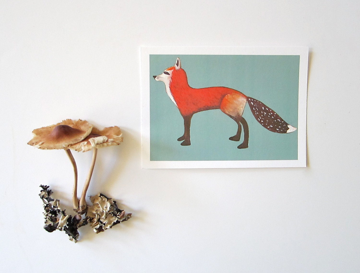 Red Fox with Teal Background 5x7 giclee art print woodland forest nature red brown black red tile studio