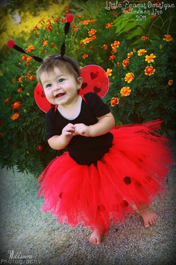 Lady Bug Costume
