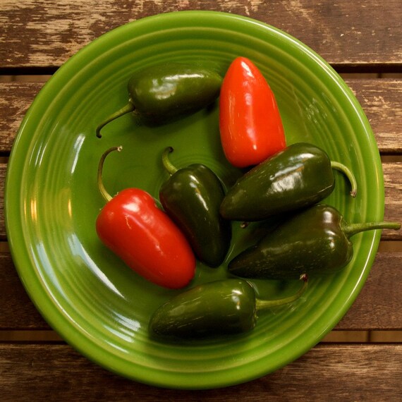 Organic Jalapeno Pepper Seeds - Early Jalapeno Peppers