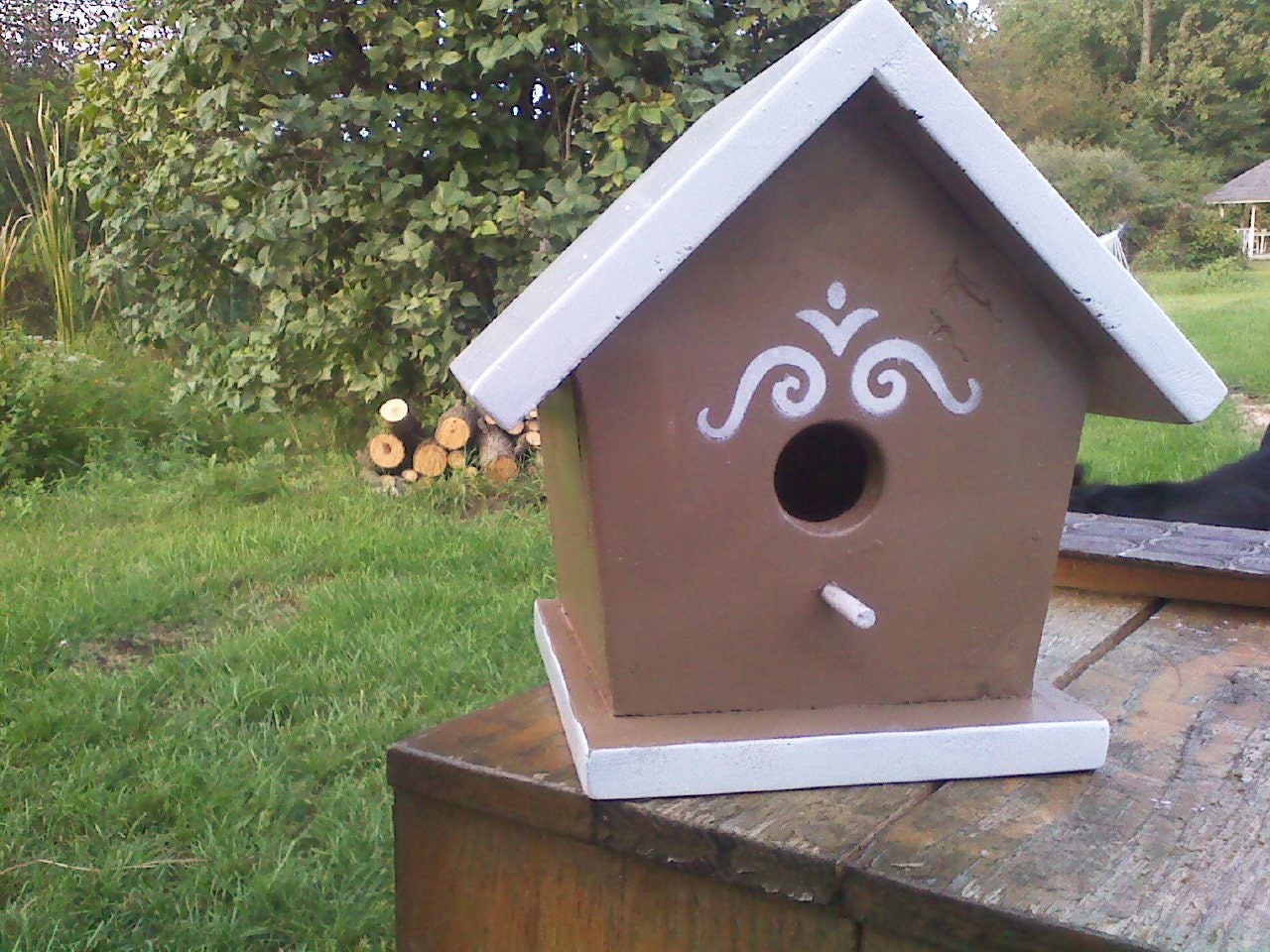 Bird Houses and coming soon Bird Feeders & Bat Houses