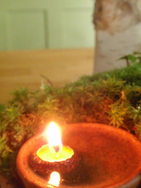 acorn cap candles-- woodland /the littlest lights/ floating candles