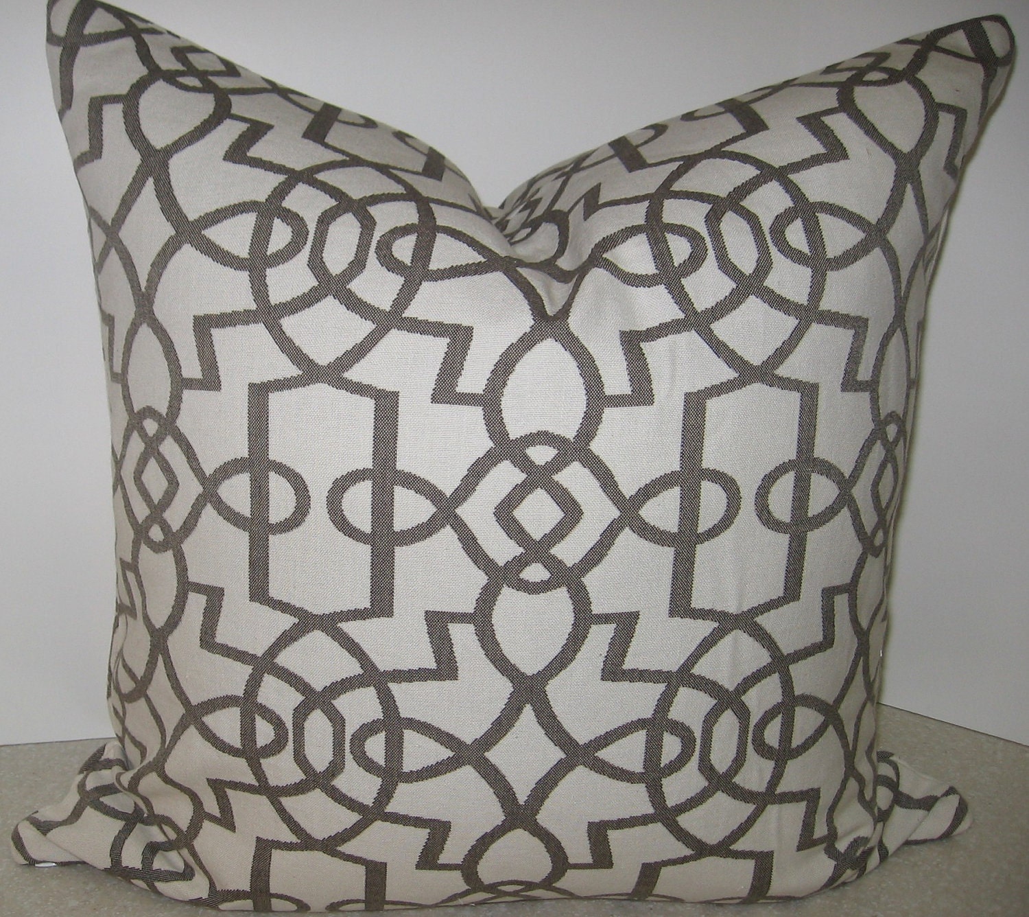 BOTH SIDES trellis geometric 20 x 20 pillow cover